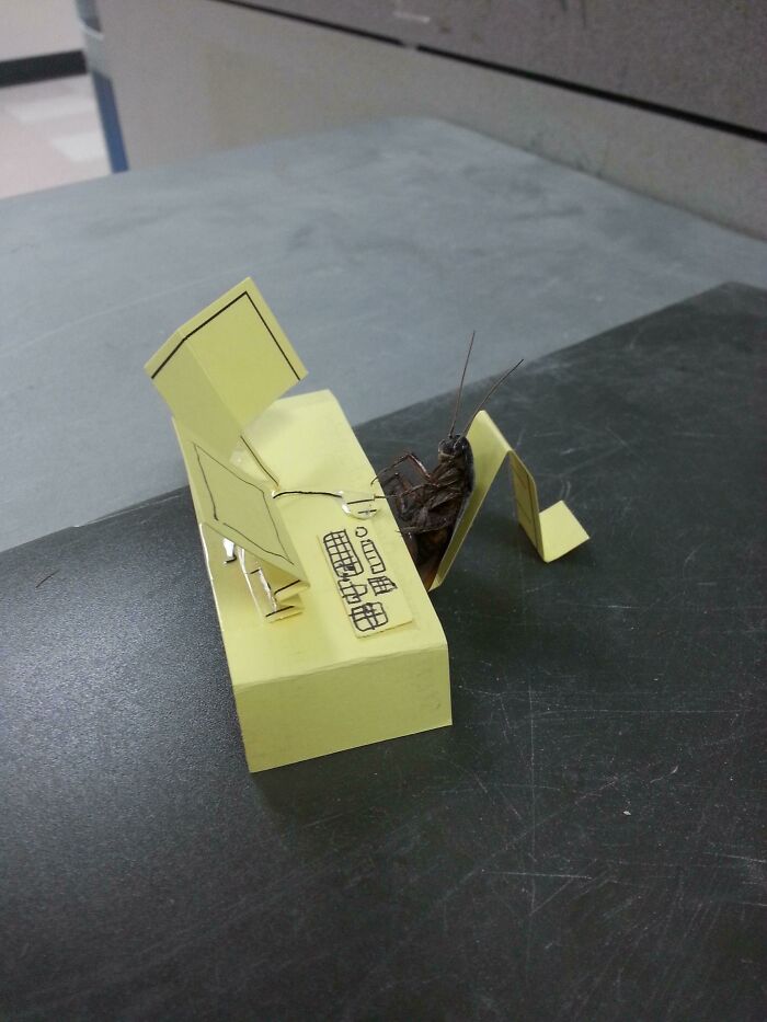 My Co-Workers Have Way Too Much Time On Their Hands