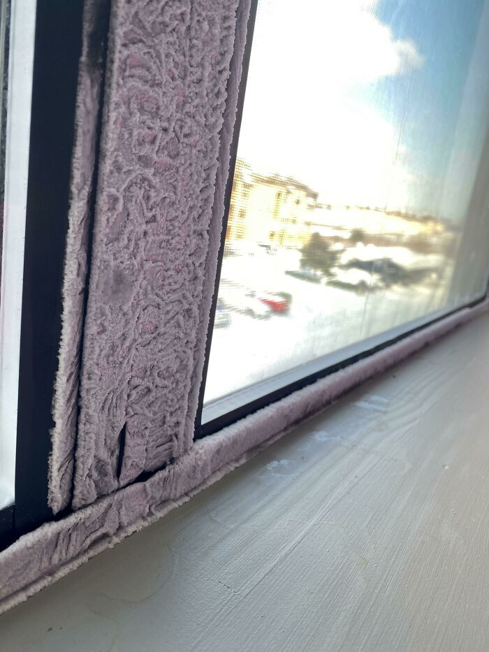 So Cold Outside The Inside Of All Of My Windowpanes Are Completely Frosted Over