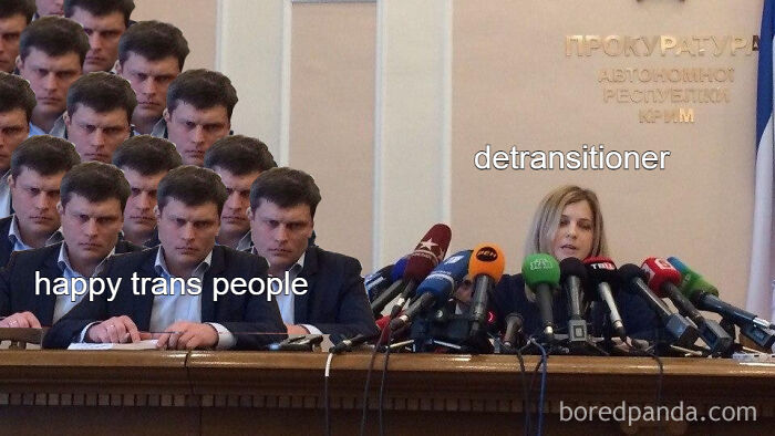 Detransitioners In A Nutshell