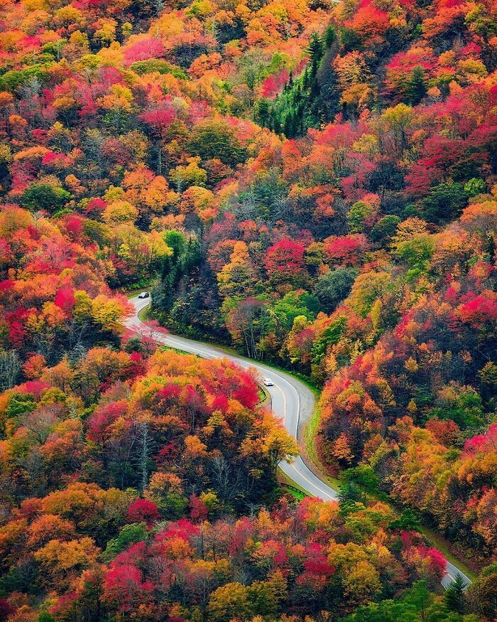Great Smoky Mountains National Park, USA