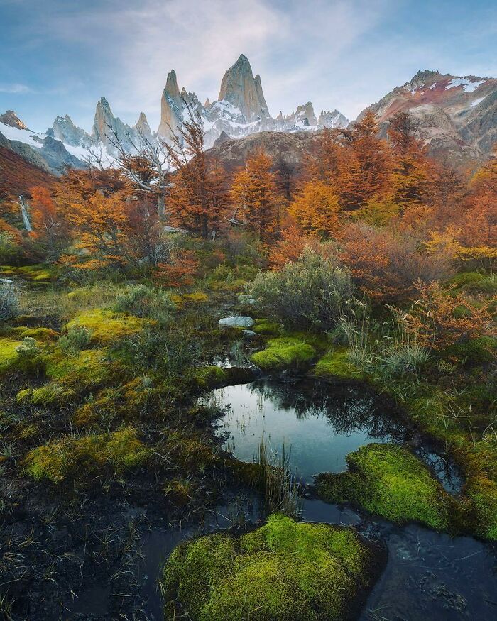 Patagonia
