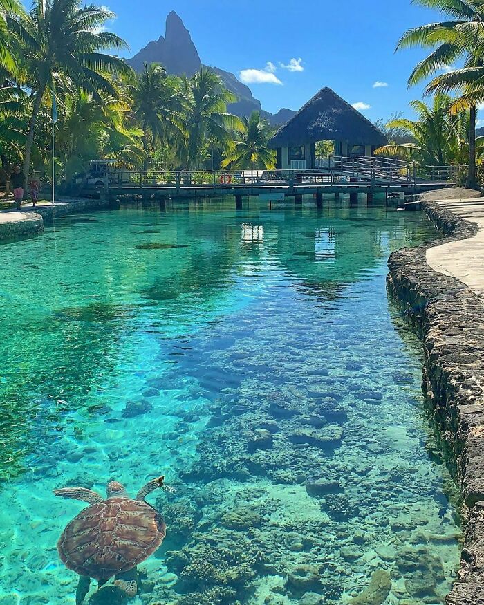 Tropical View Of Bora Bora