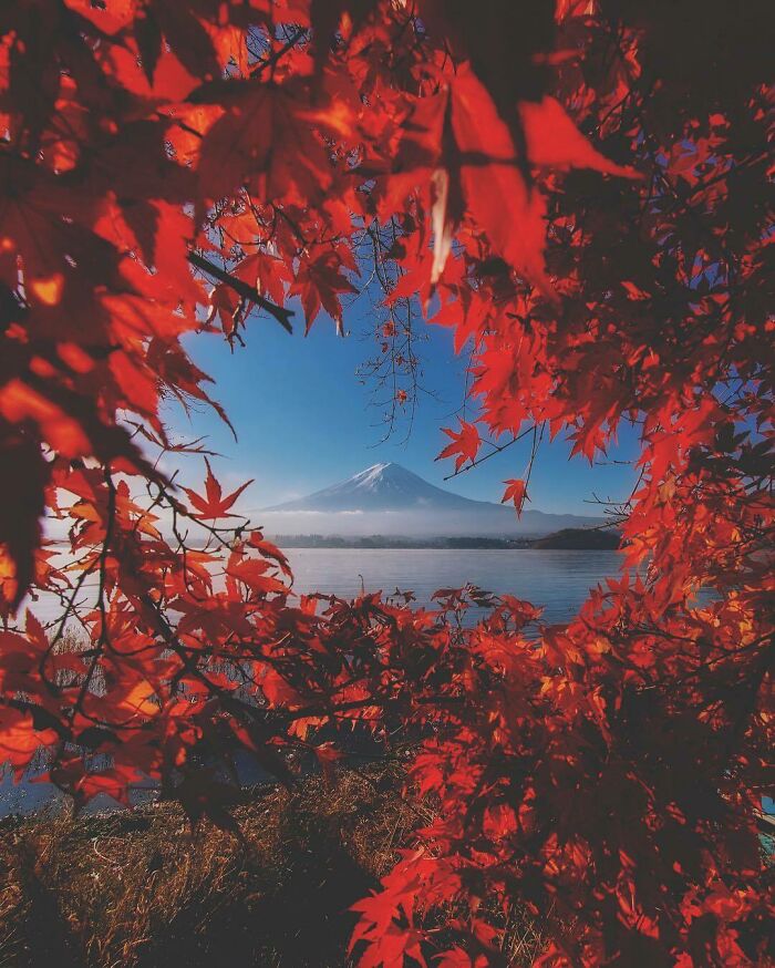 Lake Kawaguchi, Japan