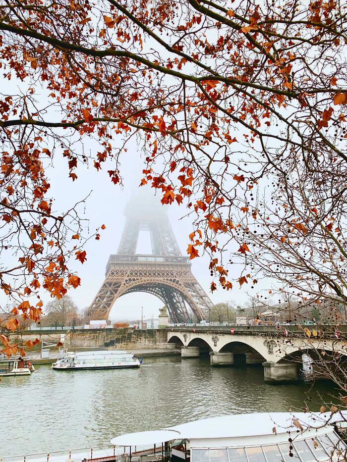 My Favourite Shot From My Phone 🍁