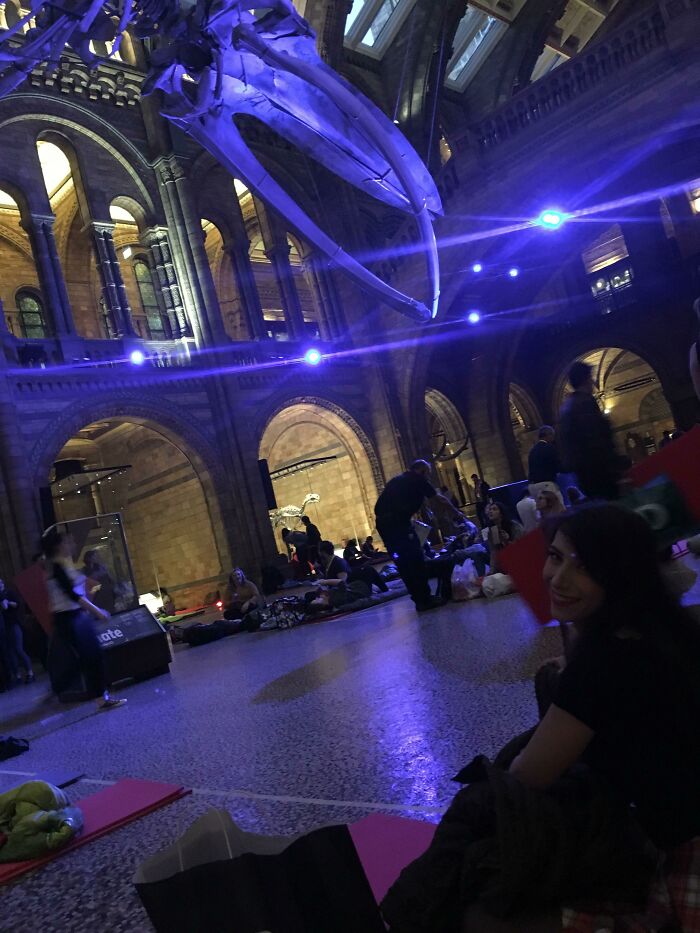 Just Had A Sleepover At The Natural History Museum