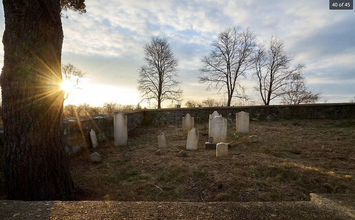 House Includes 13 Dead People Out Back