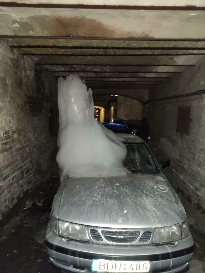 I Just Wanted To Open The Passenger Door