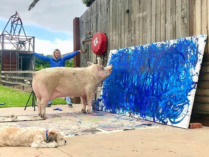 This Pig Enjoys Painting And Has Become The World's First Pig Artist