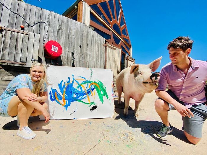This Pig Enjoys Painting And Has Become The World's First Pig Artist