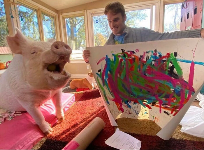 This Pig Enjoys Painting And Has Become The World's First Pig Artist