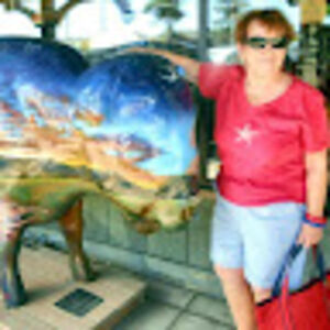 nancylerandeau avatar