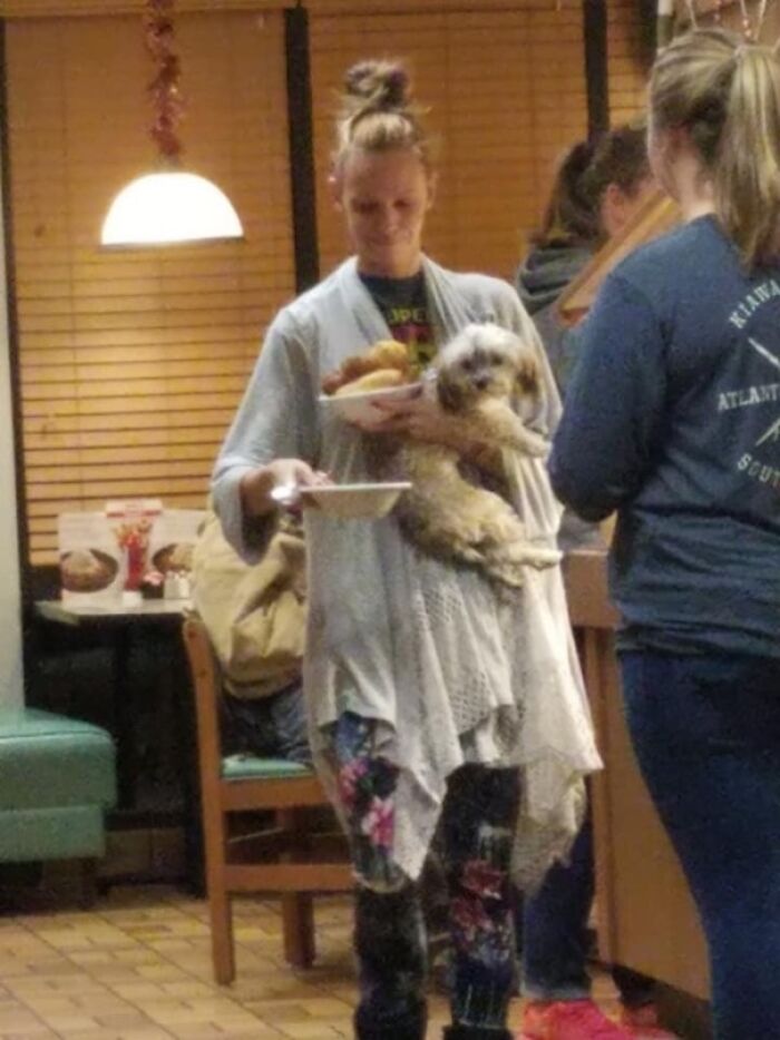 Take Your Dog Up To The Buffet