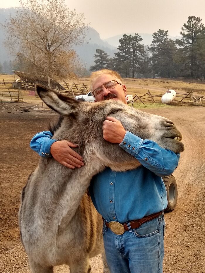 Man in blue shirt hugging a happy donkey outdoors on a rural farm, showcasing donkeys can be cute too.