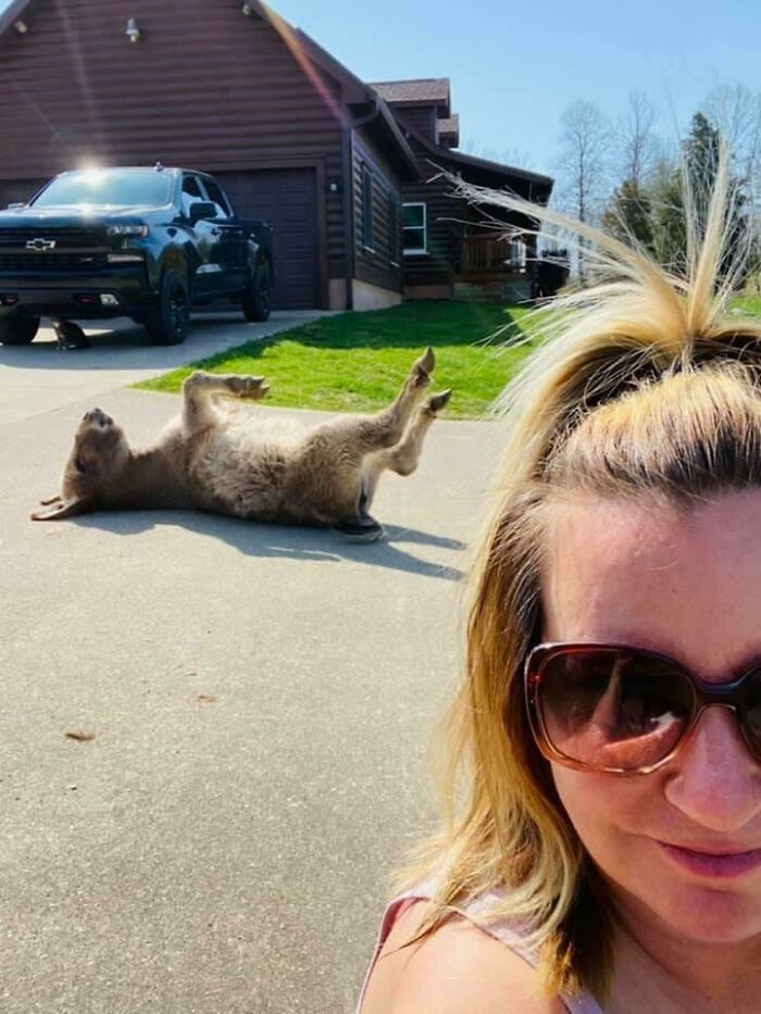 Woman with sunglasses taking a selfie with a donkey lying on its back on a driveway near a house and truck.