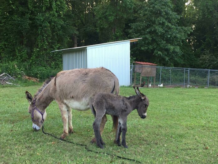 I Present To You, Benson