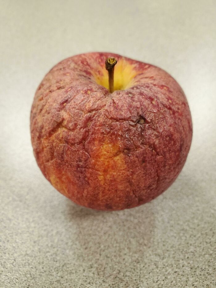 My School Put Out A Bowl For You To Put Your Fruit Into If You Aren't Going To Eat It. They Put It Back Out The Next Day. I'd Imagine This Came From There