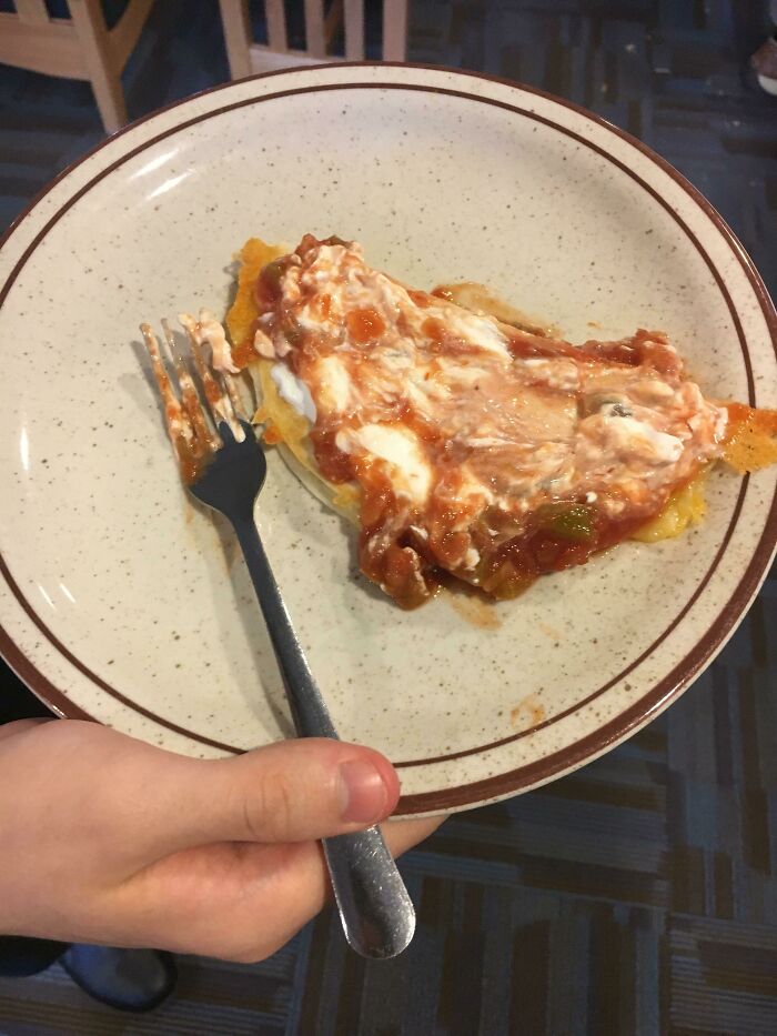 Zucchini Quesadilla With Sour Cream And Salsa, Courtesy Of High School Cafeteria. Tasted Okay No Bamboozle