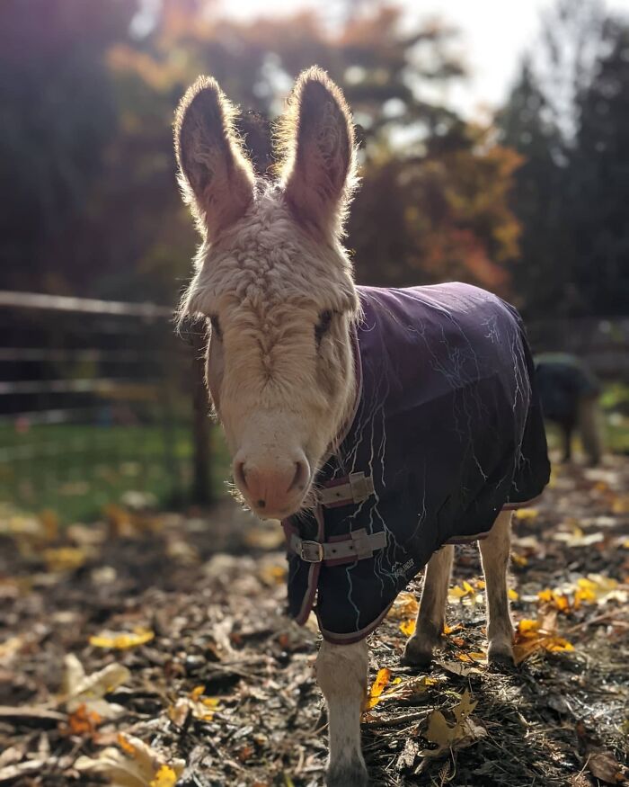 Stuart Enjoying A Great Fall Day