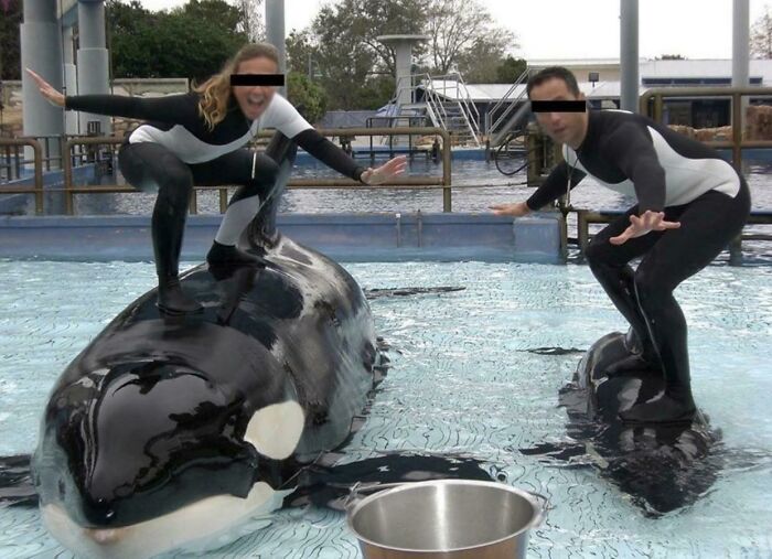 Don’t Go To Seaworld