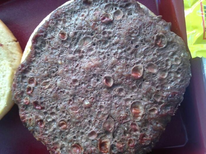 A Hamburger Patty At The Local High School