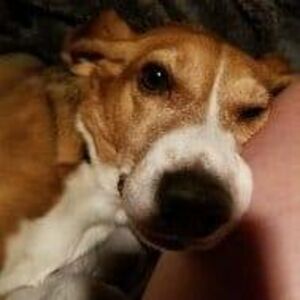 jessica_armstrong_1 avatar