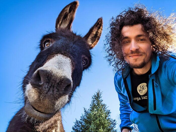 Hi Again Guys, Snow Melted, We Got Apples And Sun