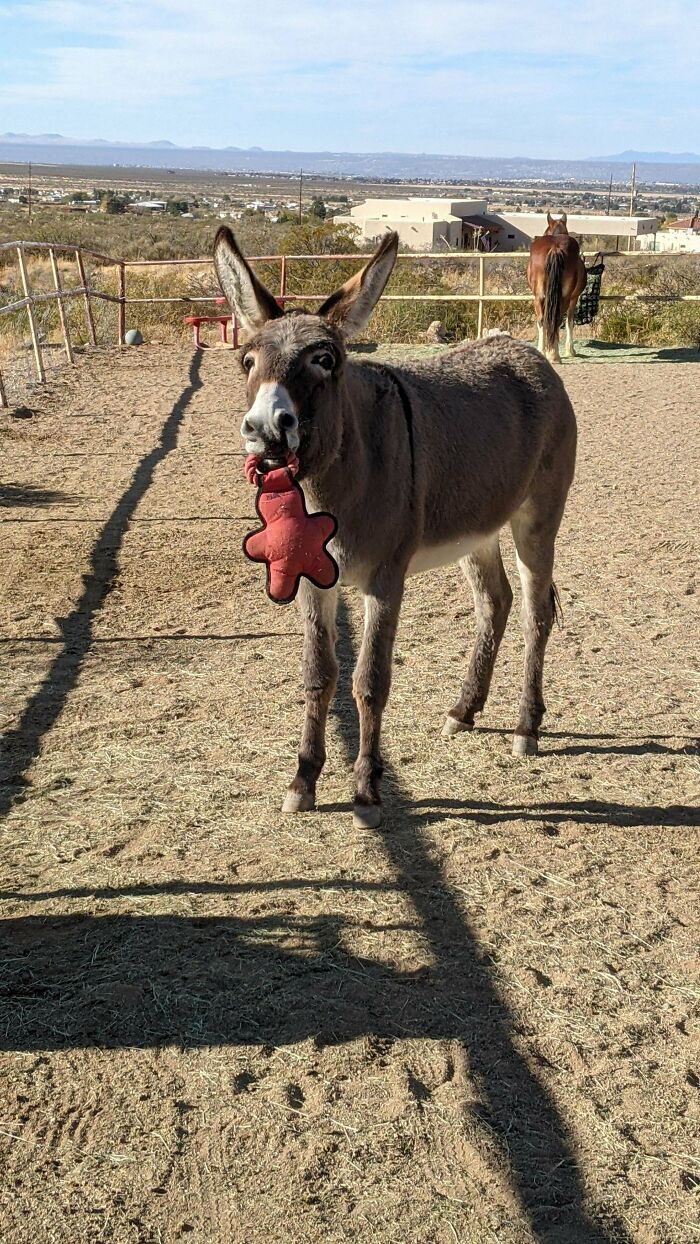 Who Was Wondering What Digby Is Up To Today?