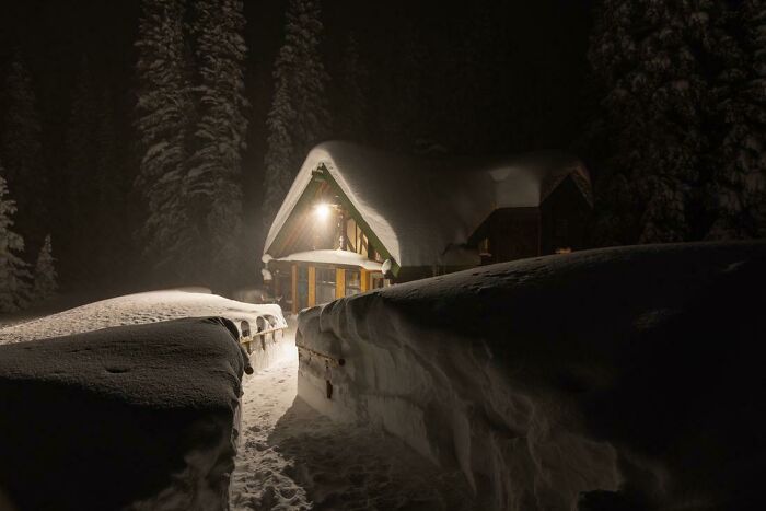 It's Been A Snow Globe The Last Week, Colorado