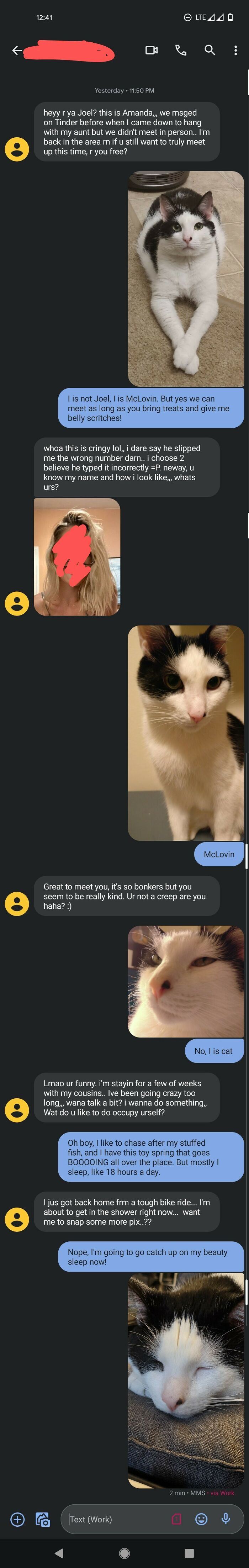 Couldn't Resist Even Though It's Spam