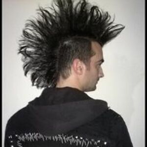 sano_fernandes avatar