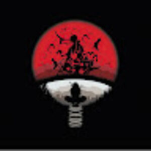 sethnattukaka avatar