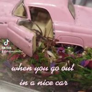 shureezinleather avatar