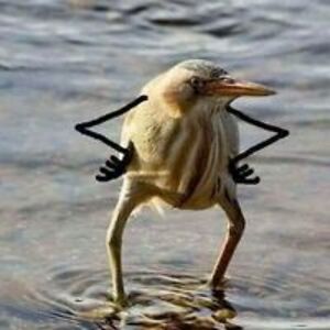 bluevegasbill avatar