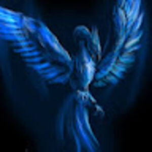 victormoreira avatar