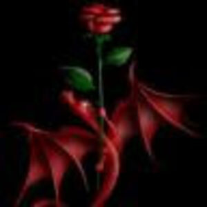 sandystratton avatar