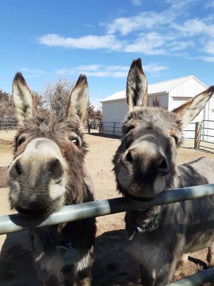 Our Baby Boy Edison Cheezin It Up