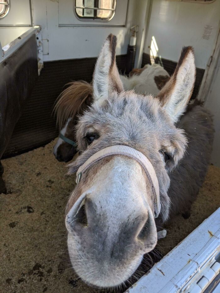 Eldi Says "Hi" After She Arrived At Her New Forever Home