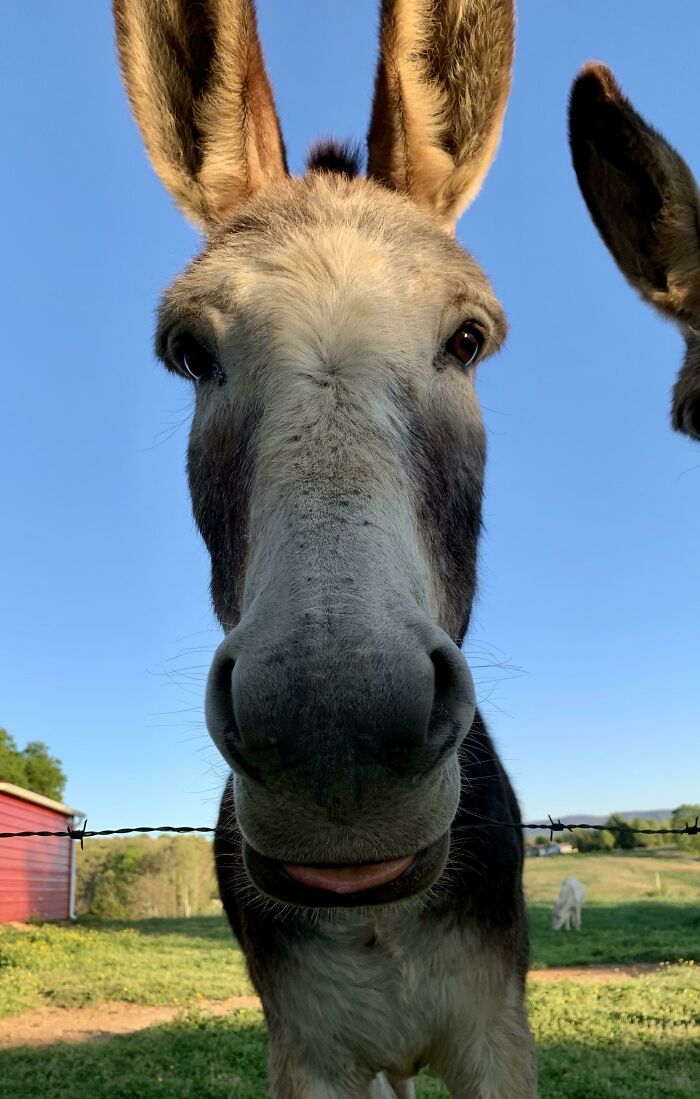 Walter, Savoring A Peppermint