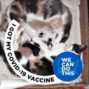 terry_sarasin avatar