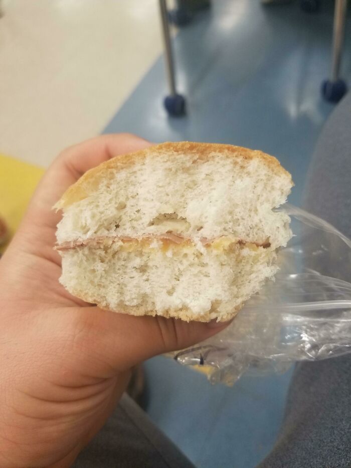 My Roast Beef And Cheese Sandwich For School Lunch