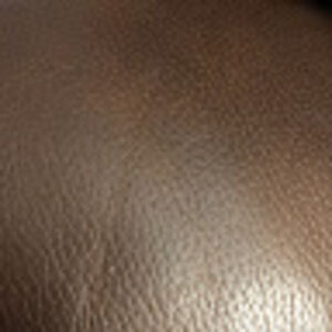 pebblesconley avatar