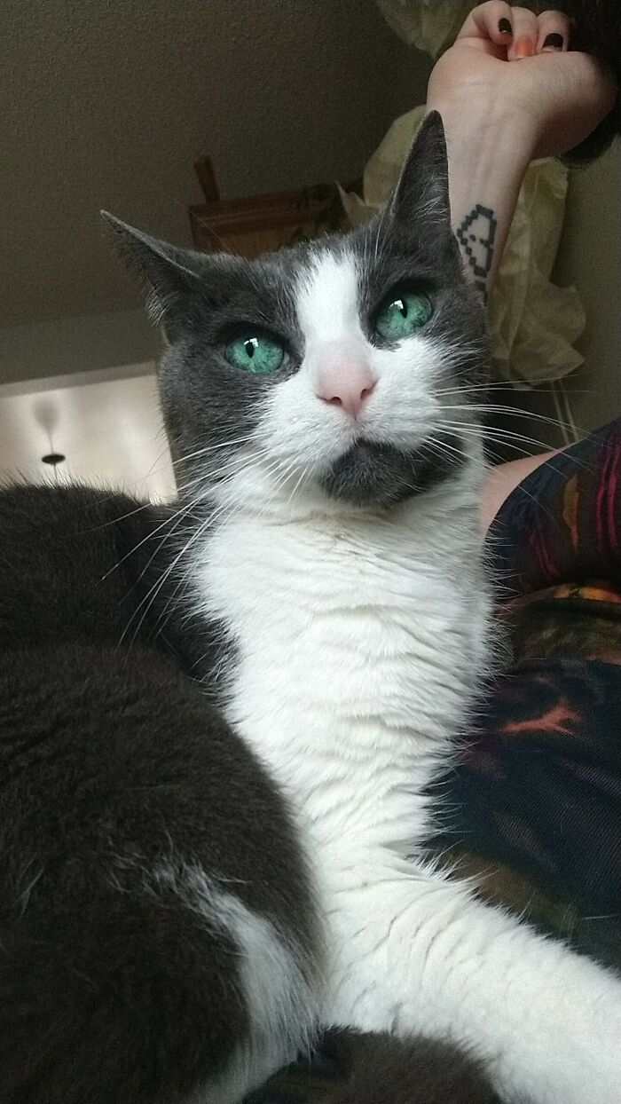 Tiene los ojos más hermosos