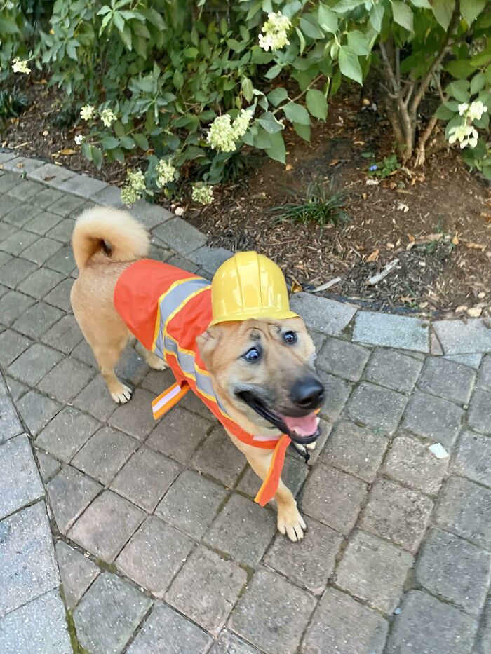 When The Homeowners Show Up Unannounced