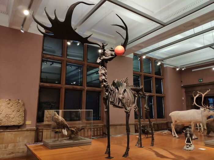 Kelvingrove Museum Getting Into The Christmas Spirit