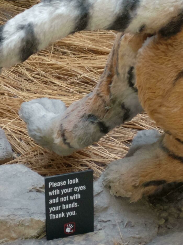 Passive-Aggressive Sign At My Local Museum