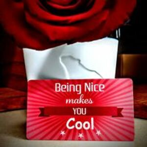 Brandy Wackerle Brandywine