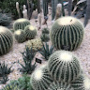 courtneyjohnstone avatar