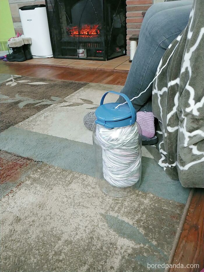 This Is How My Wife Protects Her Yarn From The Cats
