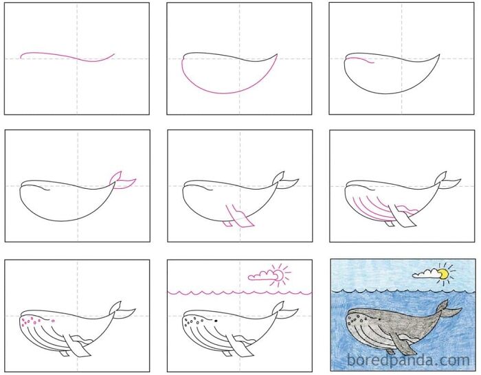 How To Draw A Humpback Whale