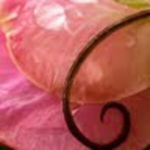 brandij_limon avatar